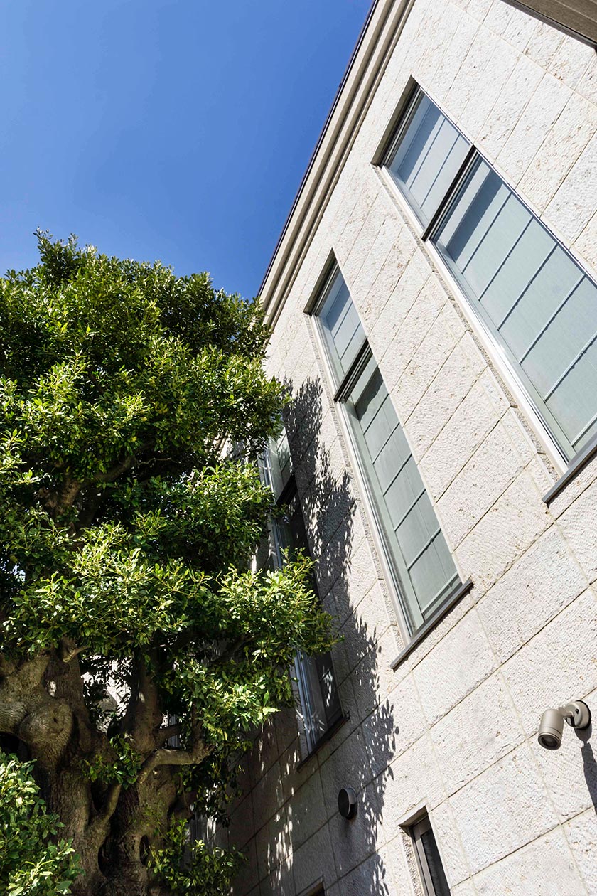 大樹と暮らす家［東京都大田区］｜ 完全オーダーメイドのデザイナーズ高級注文住宅 ｜ 株式会社ハウゼ